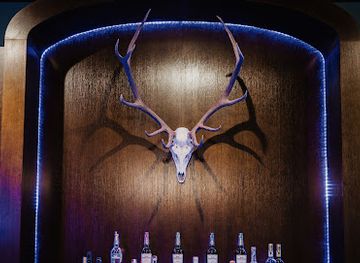 alabama/auburn/nightclub/session-cocktails