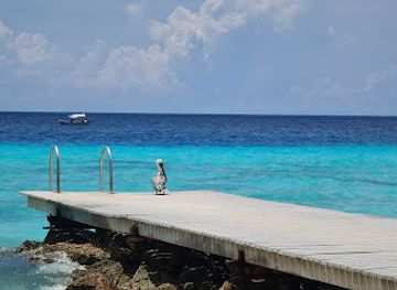 curacao/playa-cas-abou/nightclub/playa-porto-mari