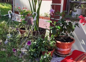 romania/ceahlau-national-park/nightclub/prive-lounge-club