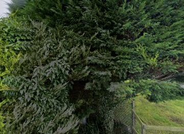 ireland/county-donegal/nightclub/carrolls