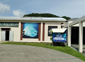 palau/ngerulmud/nightclub/palau-aquarium