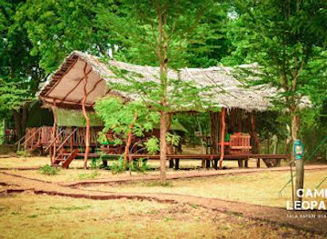 sri-lanka/yala-national-park/nightclub/camp-leopard-yala-safari-glamping