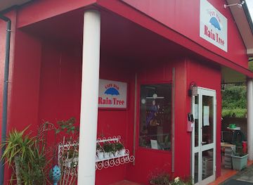 japan/yakushima/nightclub/cafe-bar-raintree