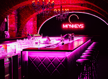 austria/graz/geidorf/nightclub/monkeys-graz