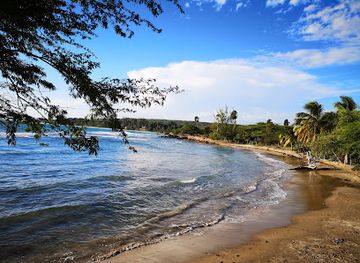 jamaica/treasure-beach-area/nightclub/dougie-s-bar