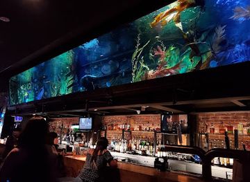 california/sacramento/old-sacramento-historic-district/nightclub/dive-bar