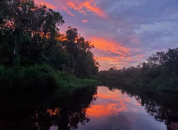 indonesia/tanjung-puting-national-park/nightclub/tanjung-puting-trip-toris-marley