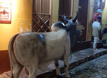 brazil/chapada-diamantina-national-park/nightclub/paraibar