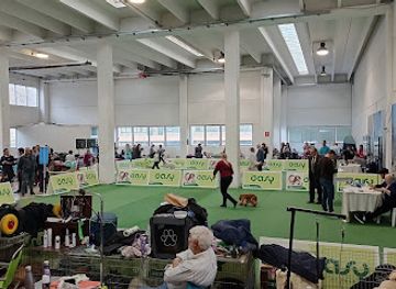 san-marino/serravalle/nightclub/dog-show-sanmarino-area