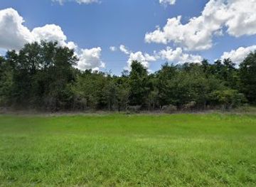 florida/ocala-national-forest/nightclub/oak-tree-palace