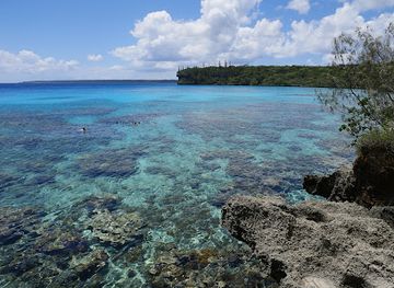 new-caledonia/lifou/nightclub/jinek-bay