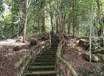 brunei/pulau-selirong-forest-reserve/nightclub/bukit-patoi-recreational-park