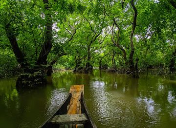bangladesh/ratargul-swamp-forest/nightclub/ratargul-swamp-forest