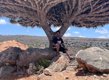 yemen/socotra-island/nightclub/travel-to-socotra