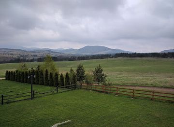 serbia/zlatibor/nightclub/zlatan-bor