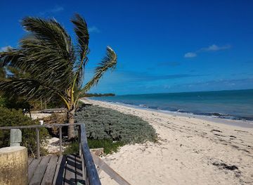 the-bahamas/andros/nightclub/club-colors