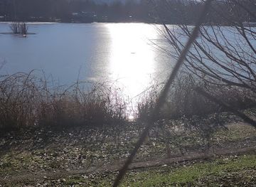 france/vosges-mountains/nightclub/le-papillon