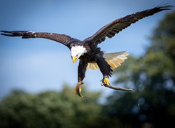 denmark/samso/nightclub/falkecenter-samso-aps