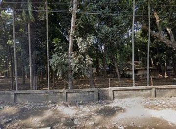 bangladesh/lawachara-national-park/nightclub/imam-bari