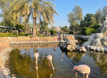 bahrain/al-areen-wildlife-park/nightclub/al-areen-wildlife-park