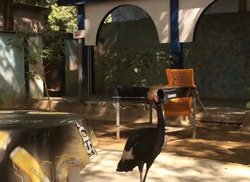 Le Pélican