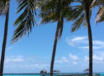 maldives/noonu-atoll/nightclub/water-s-edge