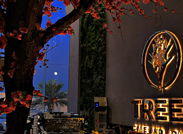 saudi-arabia/buraidah/nightclub/treet-cafe