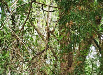 south-africa/tsitsikamma-national-park/nightclub/stormsriver-adventures