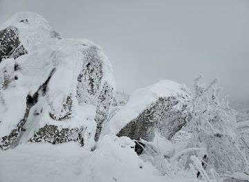 south-korea/pyeongchang-ski-resorts/nightclub/yongpyeong-ski-resort