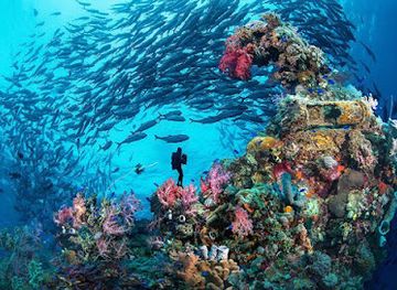 micronesia/chuuk/nightclub/chuuk-lagoon