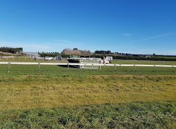 new-zealand/timaru/nightclub/grey-way-lounge-phar-lap-raceway