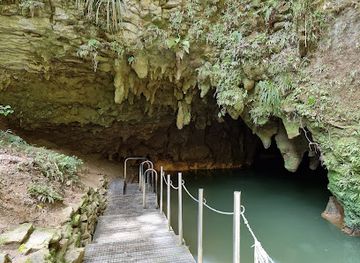 new-zealand/waitomo-caves/nightclub/waitomo-glowworm-caves