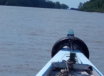 indonesia/bangka-belitung-islands/nightclub/cafe-nyunya-asui