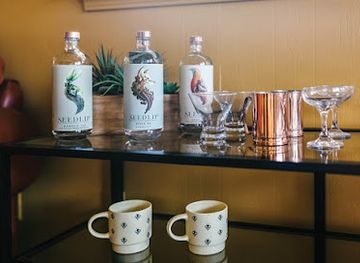 north-carolina/hendersonville/nightclub/the-buzz-sober-social-bar-and-cafe