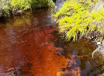 australia/great-sandy-national-park/nightclub/seary-s-creek-day-use-area