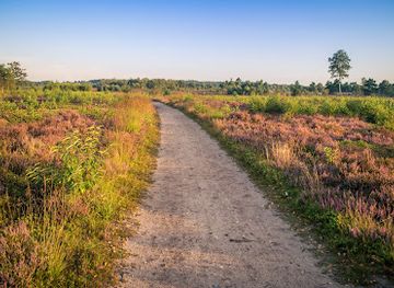 netherlands/sallandse-heuvelrug-national-park/nightclub/sallandse-heuvelrug