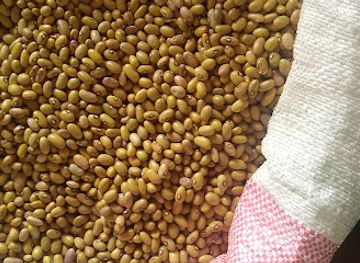 uganda/lake-bunyonyi/nightclub/tax-park