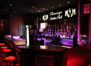 Flamingo Erotic Club