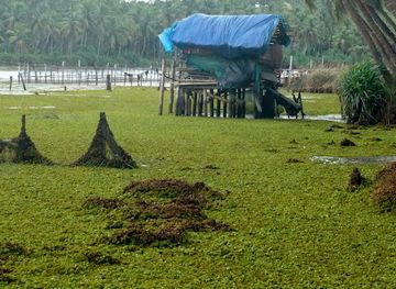 india/kozhikode/nightclub/malarvadi-club
