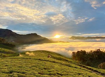 india/munnar/nightclub/sunrise-club