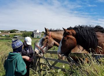 isle-of-man/cregneash/nightclub/cregneash-car-park