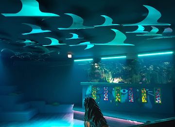 germany/dusseldorf/medienhafen/nightclub/lucy-s-sky-dusseldorf