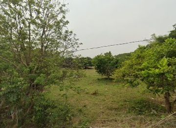 philippines/anawangin-cove/nightclub/isla-de-hayahay-resort