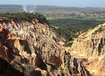 madagascar/ankarafantsika-national-park/nightclub/park-narodowy-ankarafantsika