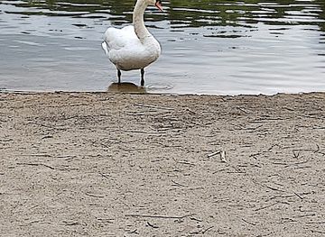 poland/lubusz-land/nightclub/exit-night-club-mostki