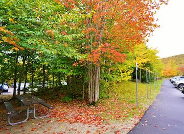 new-york/hudson-valley/nightclub/upstate