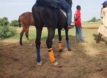 nigeria/yola/nightclub/yola-polo-club
