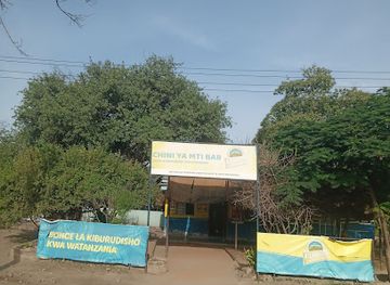 tanzania/lake-manyara-national-park/nightclub/chini-ya-mti-bar