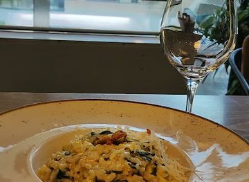 montenegro/niksic-field/nightclub/city-koncept