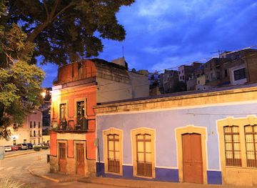 mexico/guanajuato/guanajuato-historic-center/nightclub/bar-fly